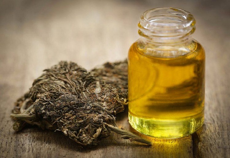 Hemp oil slows down the aging process