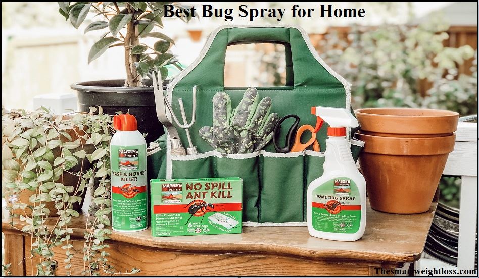 best bug spray for home